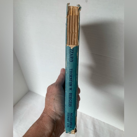 ADVENTURES OF OL’ MISTAH BUZZARD  | Vintage Hardcover Kid’s Book - Picture 4 of 10